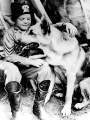 03 - rintintin.jpg