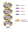 Miniatura de la versión del 16:52 16 feb 2022