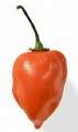 Miniatura de la versión del 15:20 2 abr 2012
