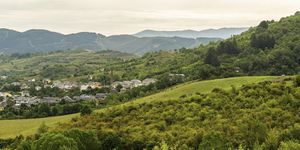 Piaranzadelbierzo.jpg