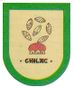 Escudo de San Gabriel Chilac