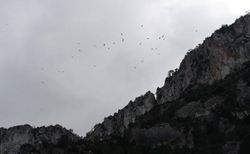 Cañon de los buitres.jpg