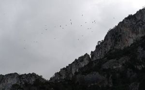 Cañon de los buitres.jpg