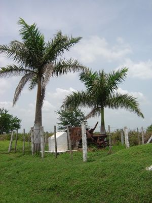 Sitio Histórico Tazajera.JPG