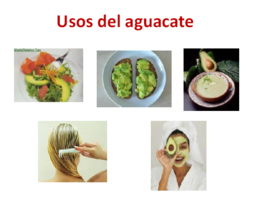 Usos aguacate.png