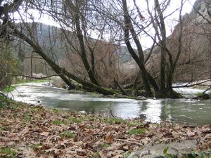 Rio Ladón.jpg