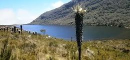 Santuario de Flora y Fauna Guanentá Alto Río Fonce.jpg