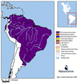 Miniatura de la versión del 10:12 10 dic 2021