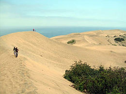 Dunas-de-concon-4.jpg