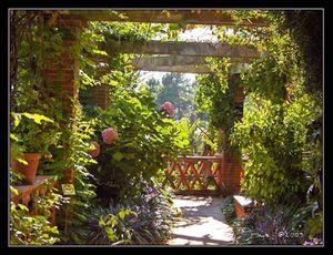 Fotos007.jpg