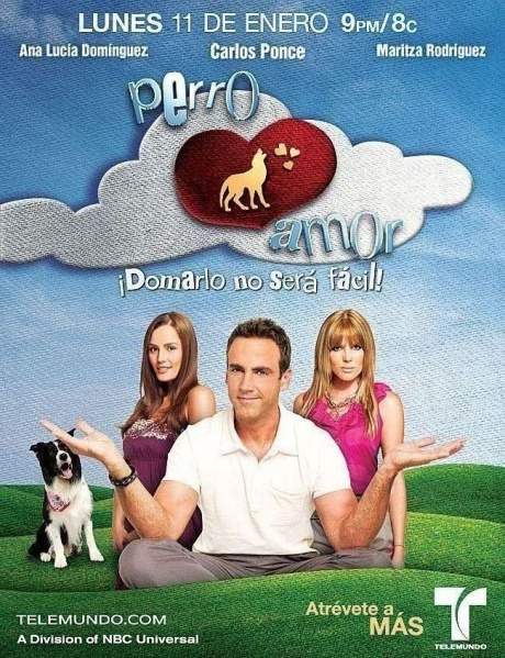 Archivo:PerroAmor 11deEnero.jpg