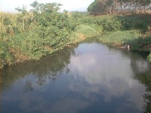 Río Govea.JPG