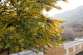Miniatura de la versión del 20:56 10 nov 2025