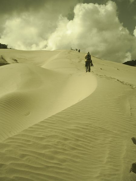 Archivo:La Guajira desert.jpg