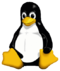 Kiwix para Linux - 149M
