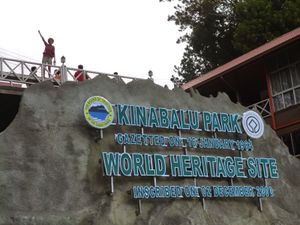 5. Kinabalu (31).JPG