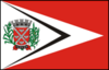 Bandera de Tarumã