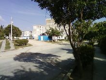 Lamicropp.jpg