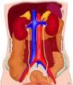 Miniatura de la versión del 14:30 15 jun 2011