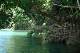 Río Miel (Baracoa)1.jpeg