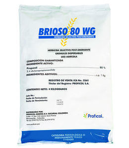 Brioso.jpg