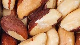 SEMILLA DE BRASIL1.jpg