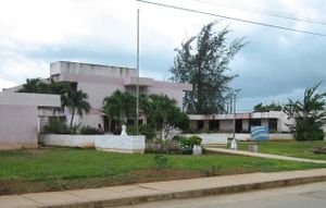 Escuela luz caballero perico.jpg