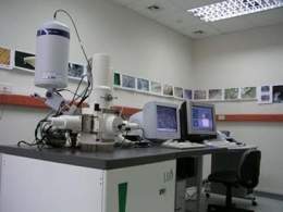 Microscopio electronico barrido.jpg