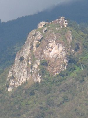5999020.jpg