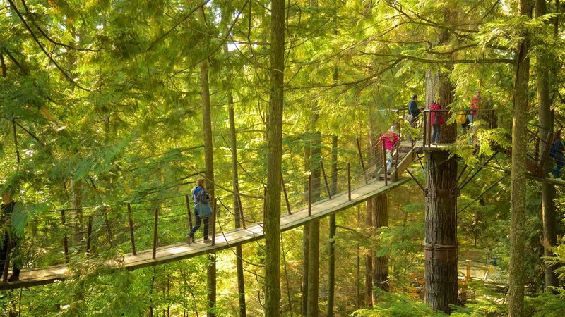 Archivo:Capilano-Suspension-Bridge.jpg