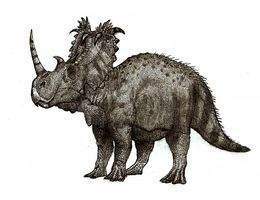 Coronosaurus brinkmani.jpg