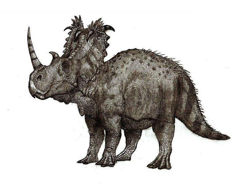 Archivo:Coronosaurus brinkmani.jpg
