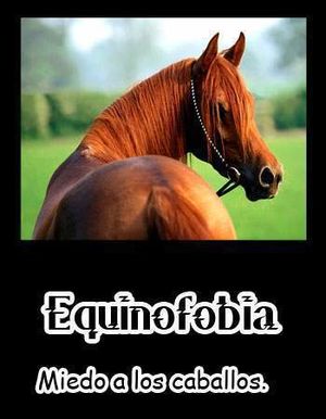 Equinofobia.jpg