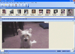 Image styler 9704.gif