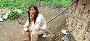 Indigenas guane.jpg