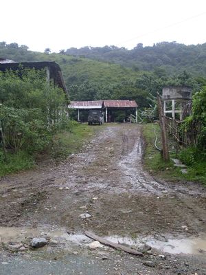Localidad Arenal.jpg