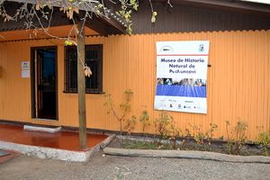 Museo puchuncavi.jpg