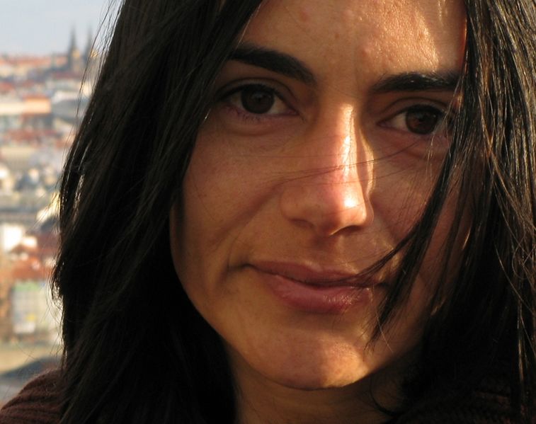 Archivo:NGV.jpg