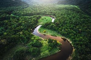 Naturaleza 2022.jpg