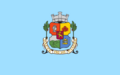 Bandera Sofia.png