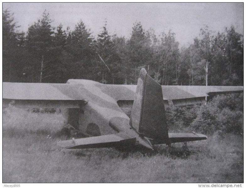 Archivo:G29.jpg