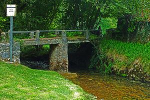 Río cabras España.jpg