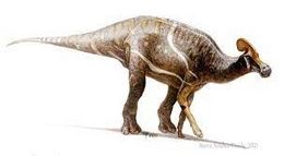 Tlatolophus galorum..jpg