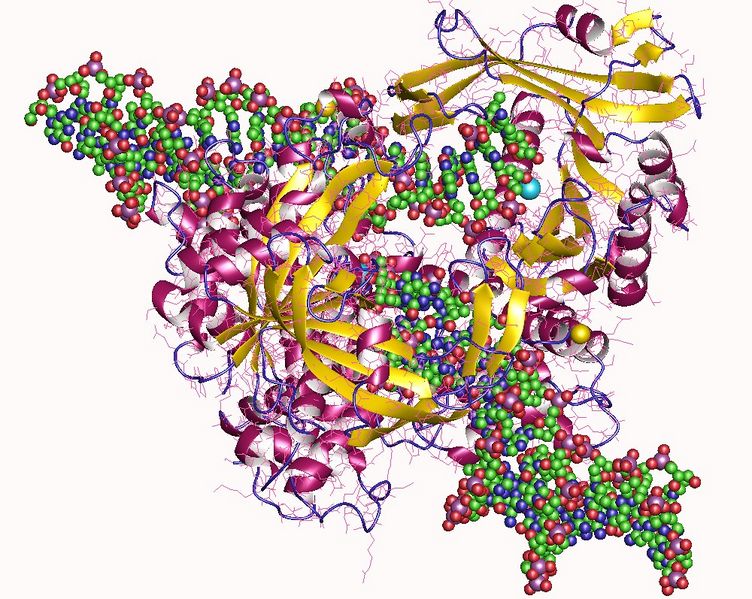 Archivo:Transposxl.jpg