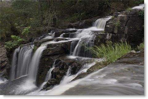 Reserva Natural Cerro Arenal EcuRed