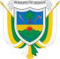 Escudo de Vegachí