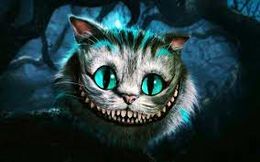 Gatosheikre.jpg