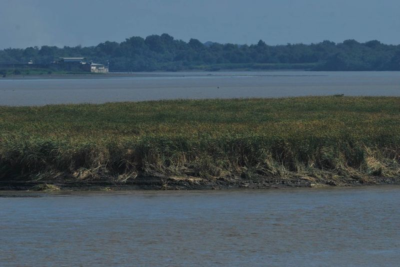 Archivo:Rio guayasECU.jpg