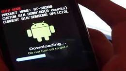 FLASHEO DEL CELULAR.JPG