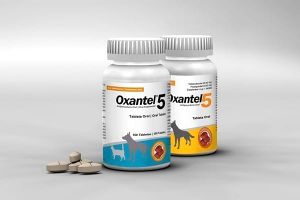 Oxantel.jpg